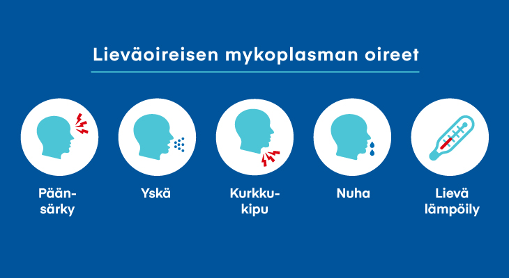 IHA_mykoplasma_infografiikka_730x400.jpg